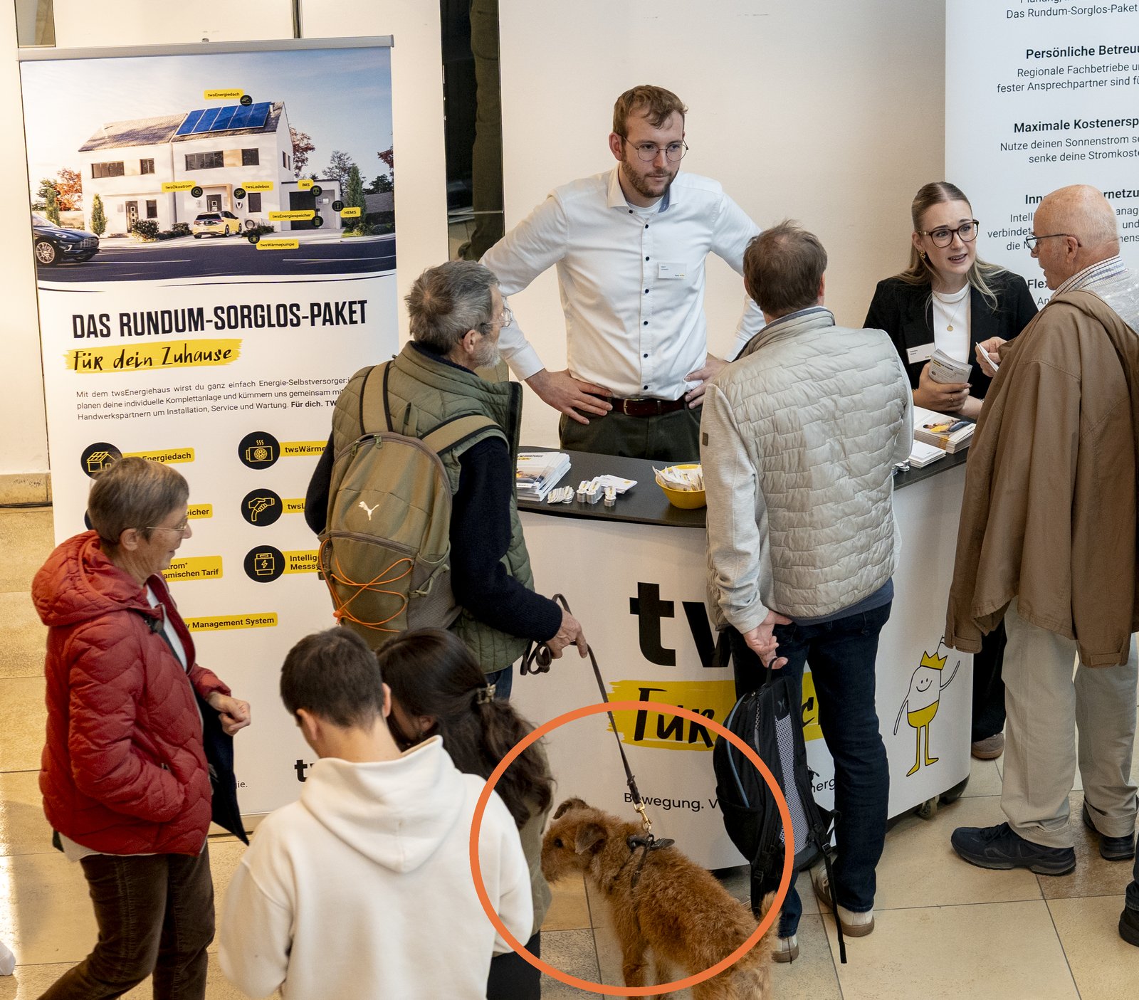 Riesenschnauzer Coffee am Stand der Technischen Werke Schussental, rot eingekreist